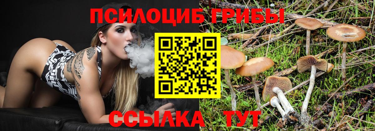 Дубна  Псилоцибиновые грибы Psilocybine cubensis  купить наркотики цена  Вход с VPN 