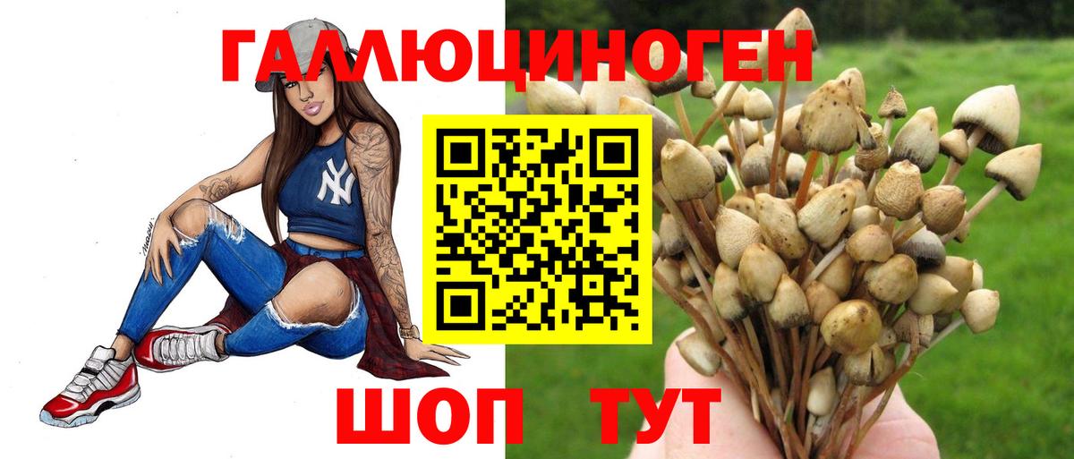 Псилоцибиновые грибы MAGIC MUSHROOMS Дубна